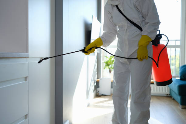 Office Mold Removal Services in Helena West Side, MT