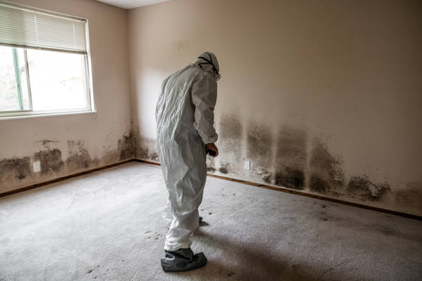 Best Office Mold Removal Services  in Helena West Side, MT
